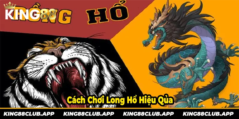 Cách chơi Long Hổ cực kì hiệu quả